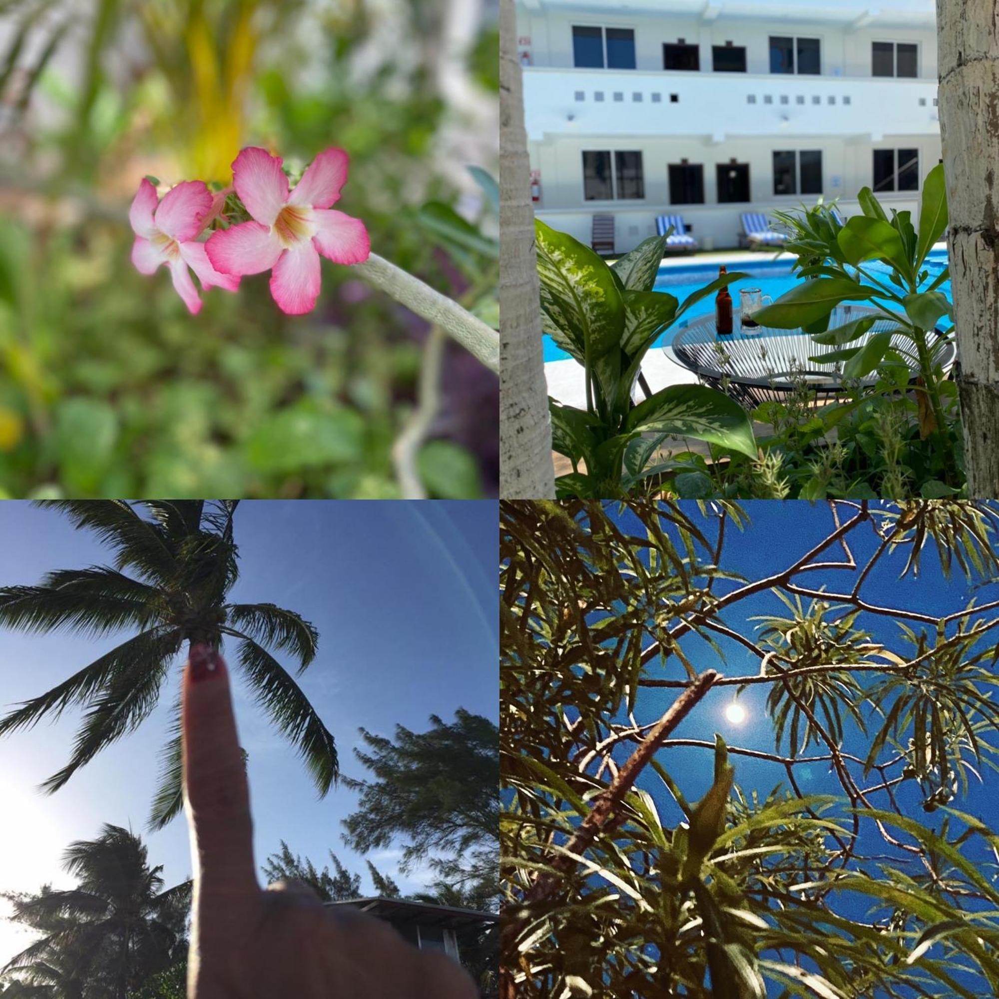 Hotel Balxiba Playa del Carmen Ngoại thất bức ảnh